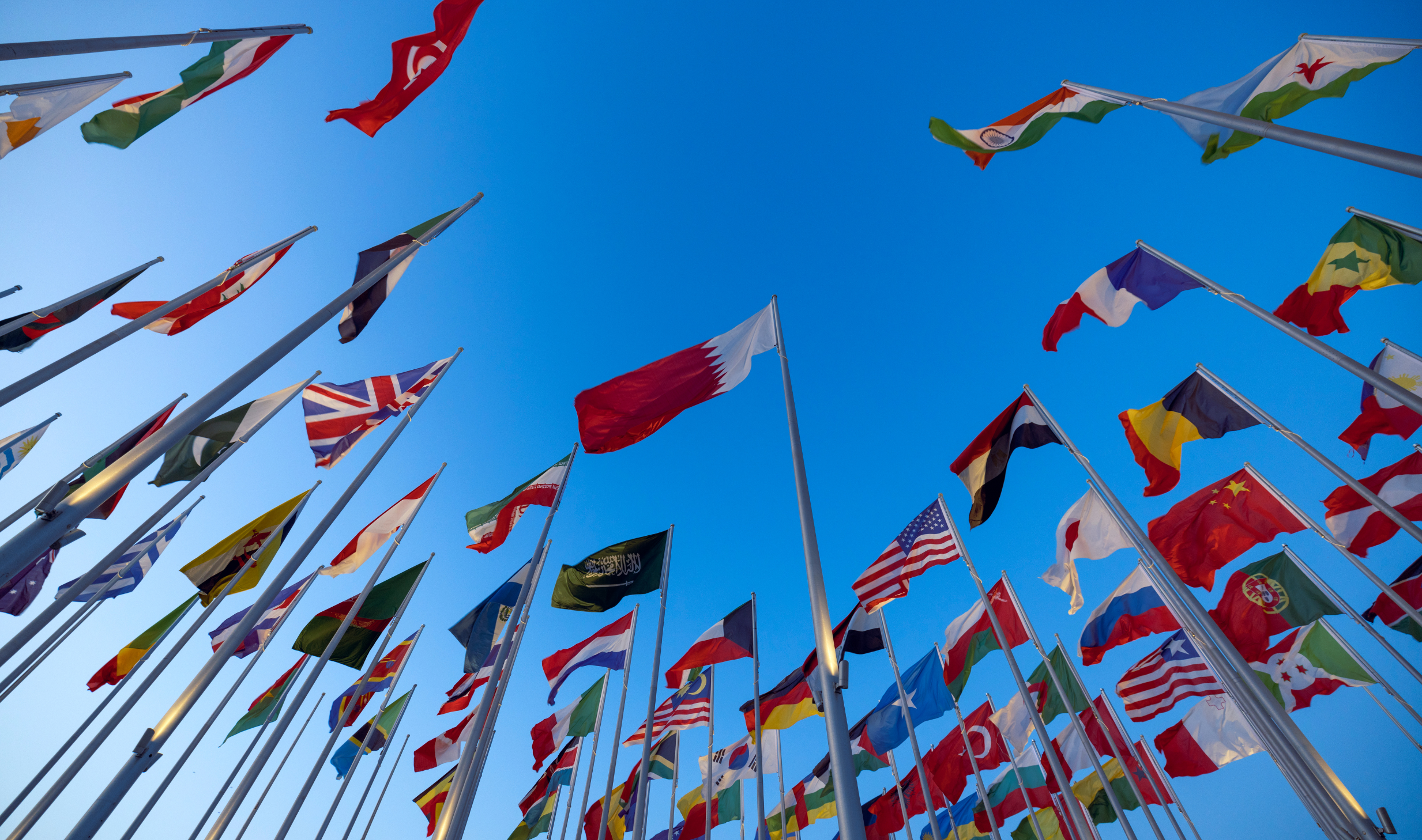 Image La filière Internationale 